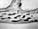 Driftwood Study